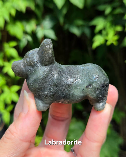 Corgi Carvings (Labradorite or Orange Calcite)