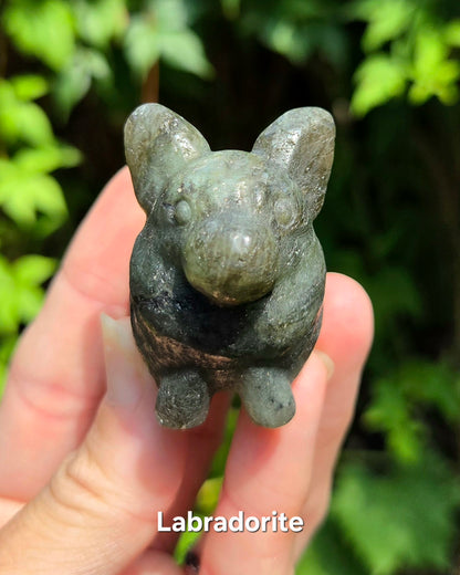 Corgi Carvings (Labradorite or Orange Calcite)