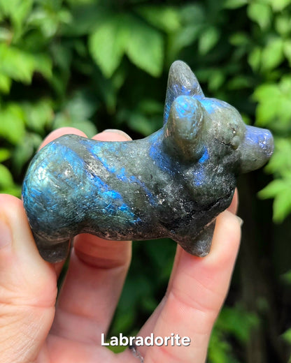 Corgi Carvings (Labradorite or Orange Calcite)