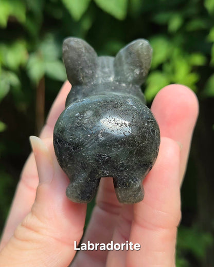Corgi Carvings (Labradorite or Orange Calcite)