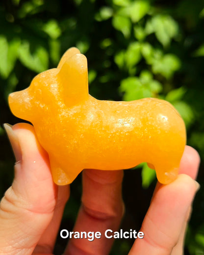 Corgi Carvings (Labradorite or Orange Calcite)