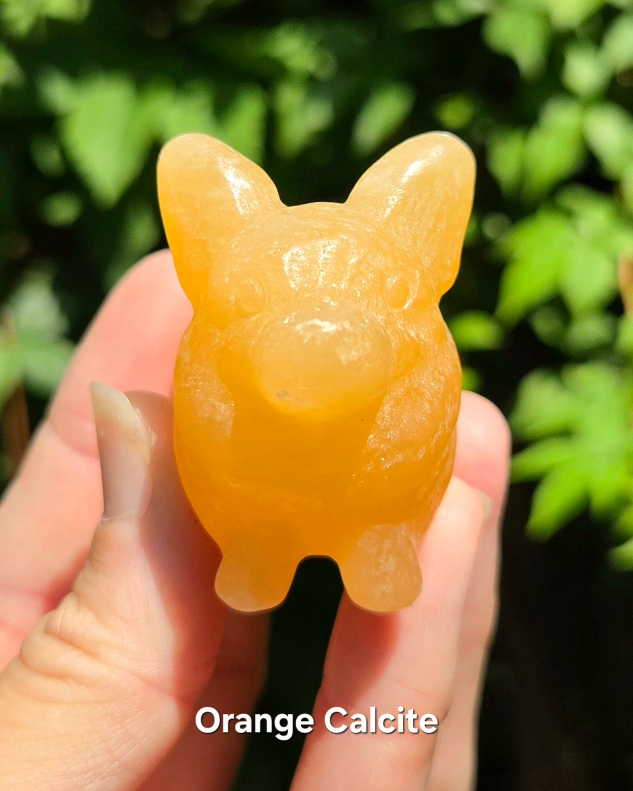 Corgi Carvings (Labradorite or Orange Calcite)