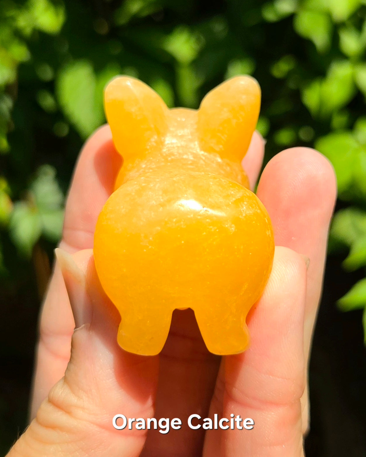 Corgi Carvings (Labradorite or Orange Calcite)