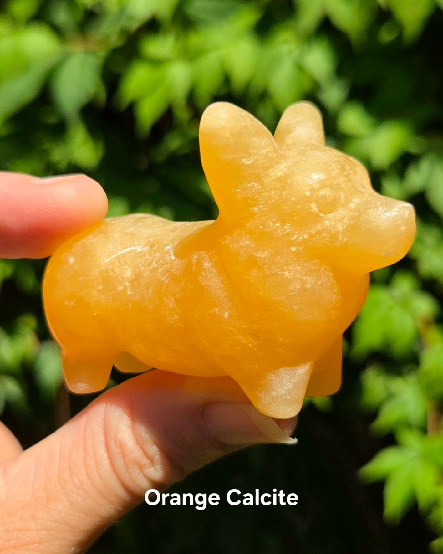 Corgi Carvings (Labradorite or Orange Calcite)