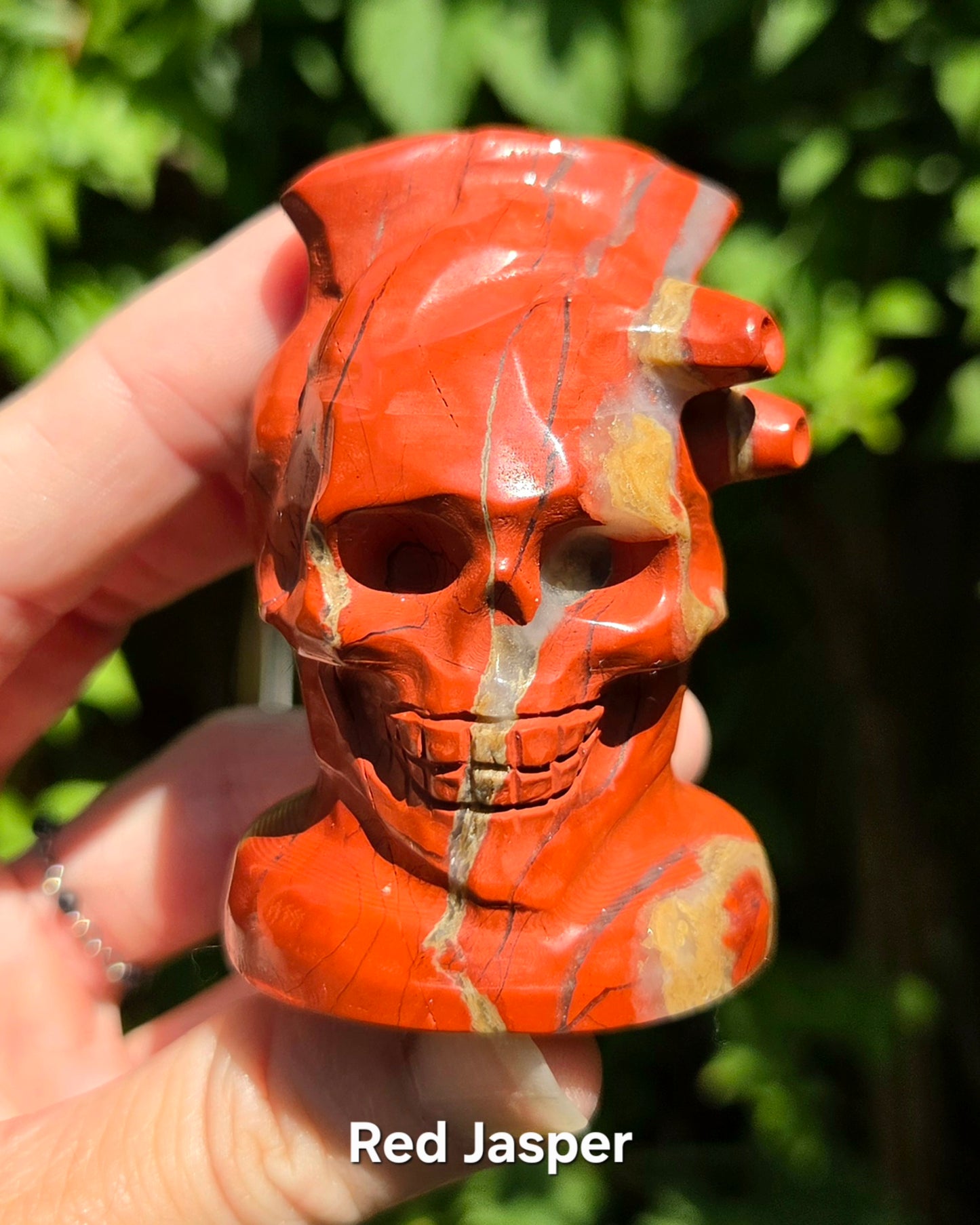 Skull with Anatomical Heart (Black Obsidian or Red Jasper)