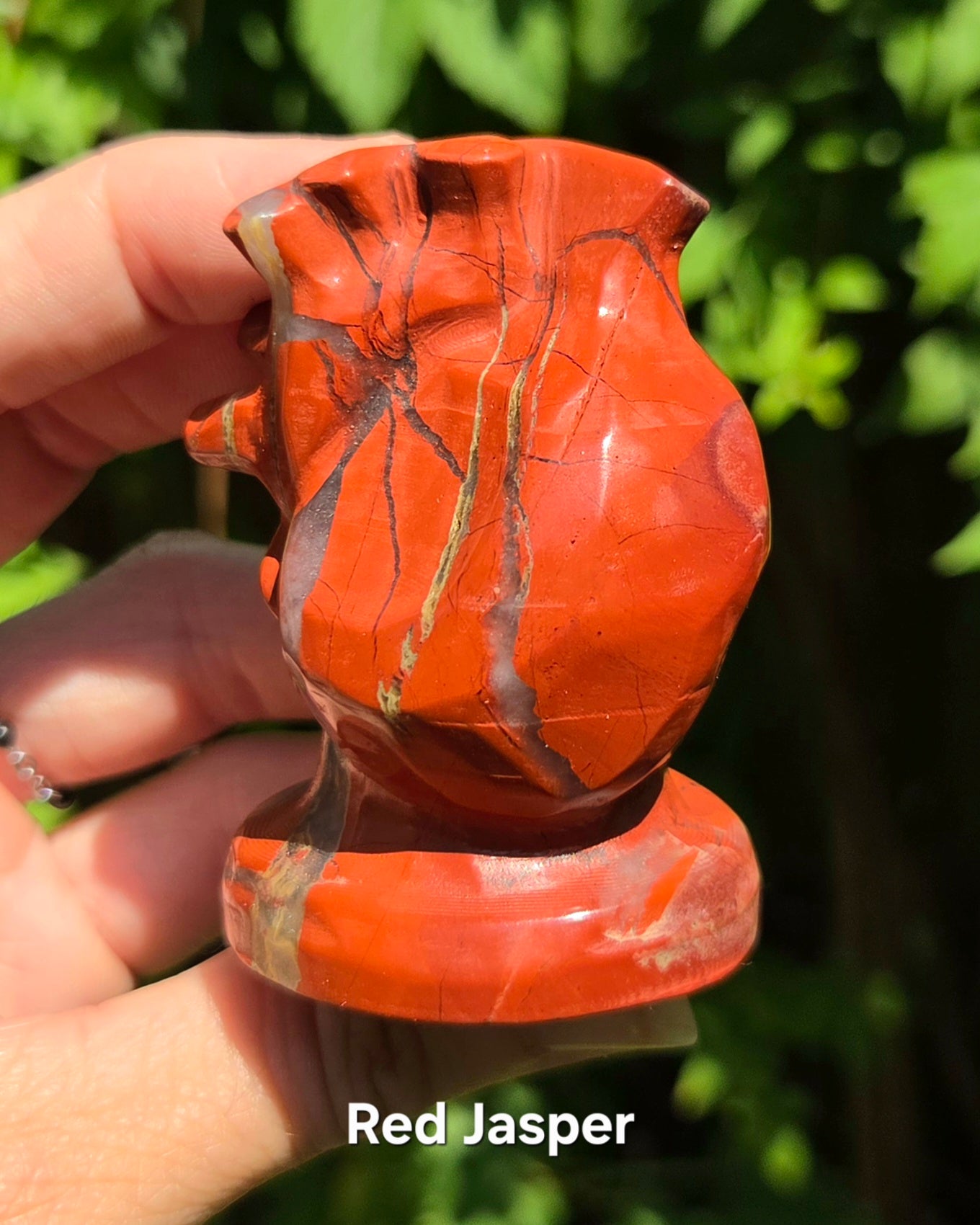 Skull with Anatomical Heart (Black Obsidian or Red Jasper)