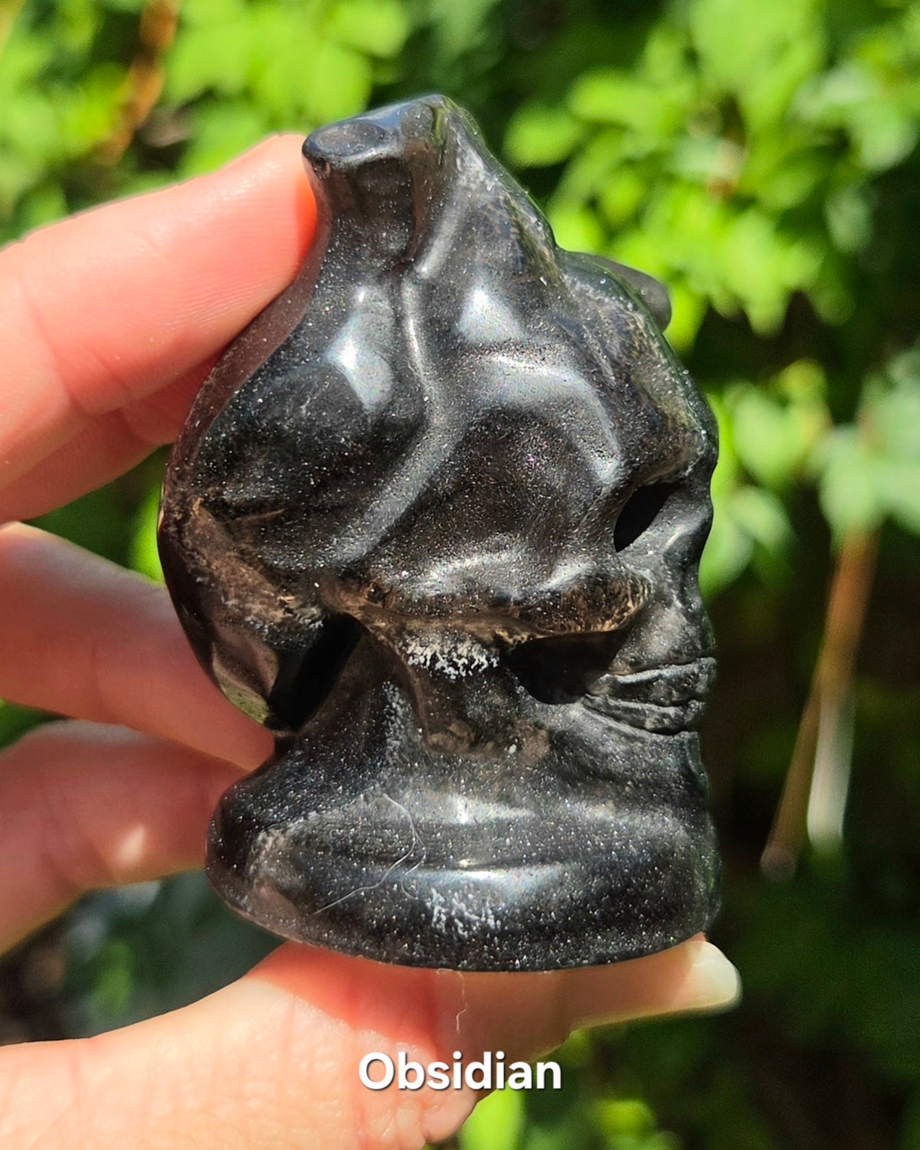 Skull with Anatomical Heart (Black Obsidian or Red Jasper)