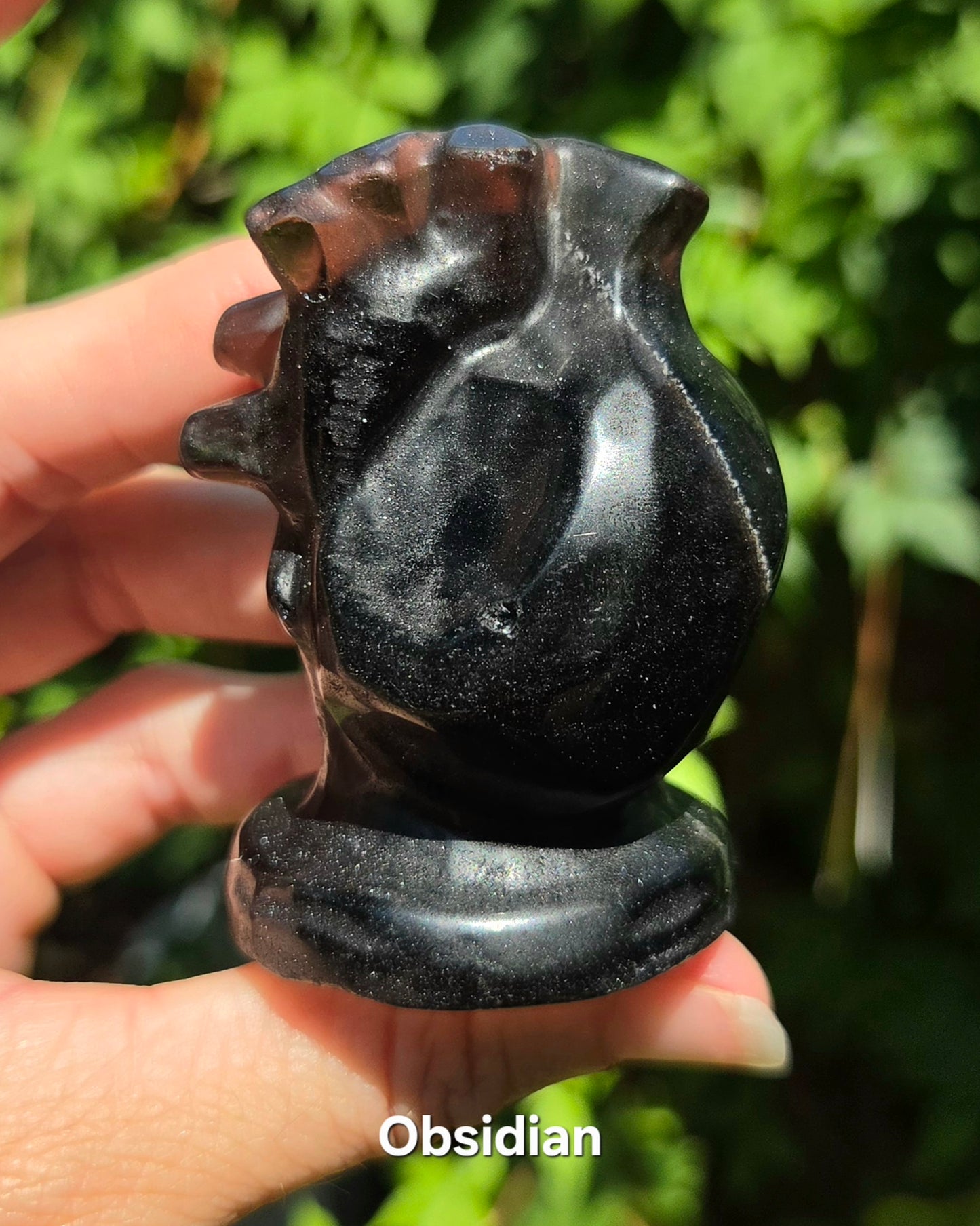 Skull with Anatomical Heart (Black Obsidian or Red Jasper)
