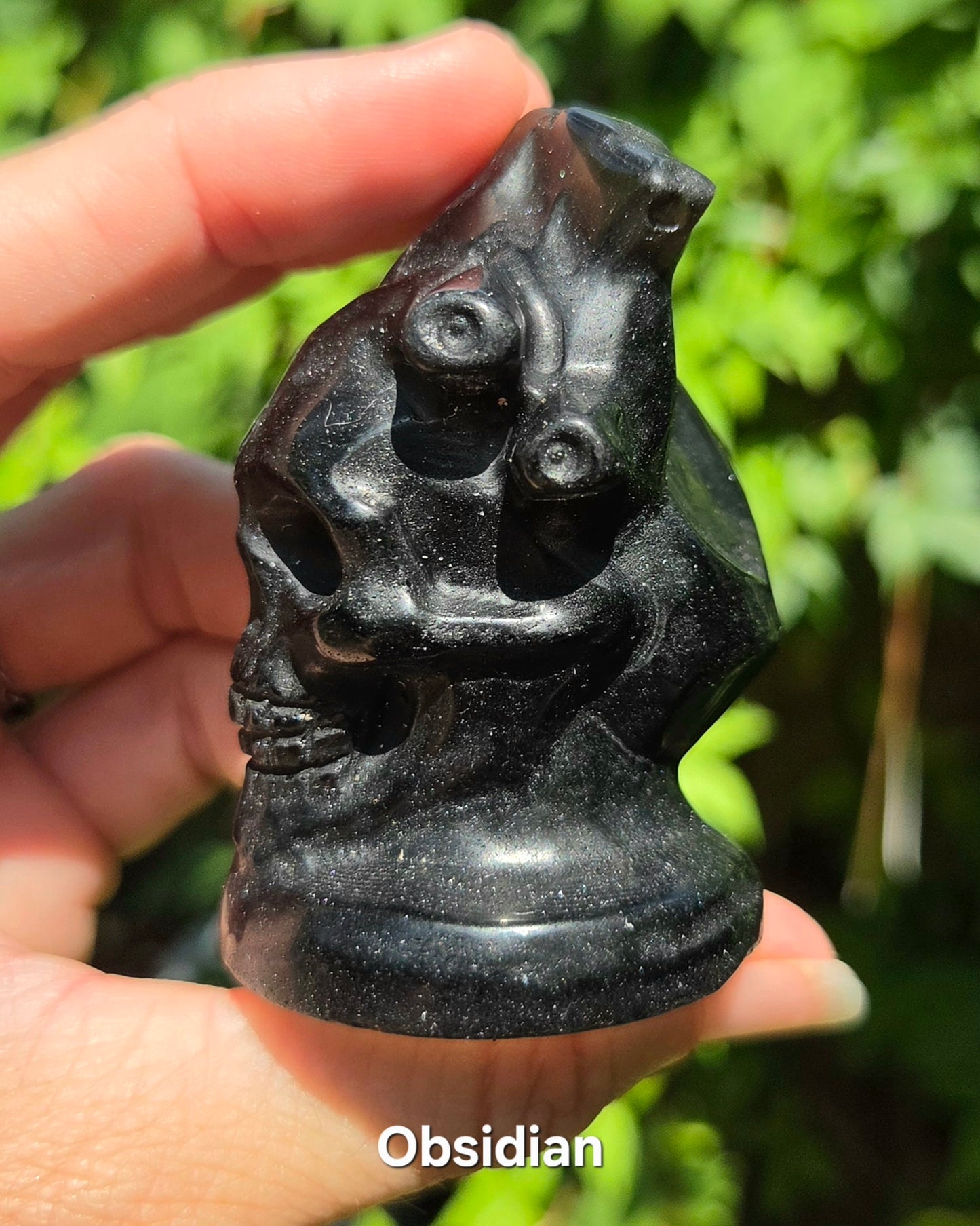 Skull with Anatomical Heart (Black Obsidian or Red Jasper)