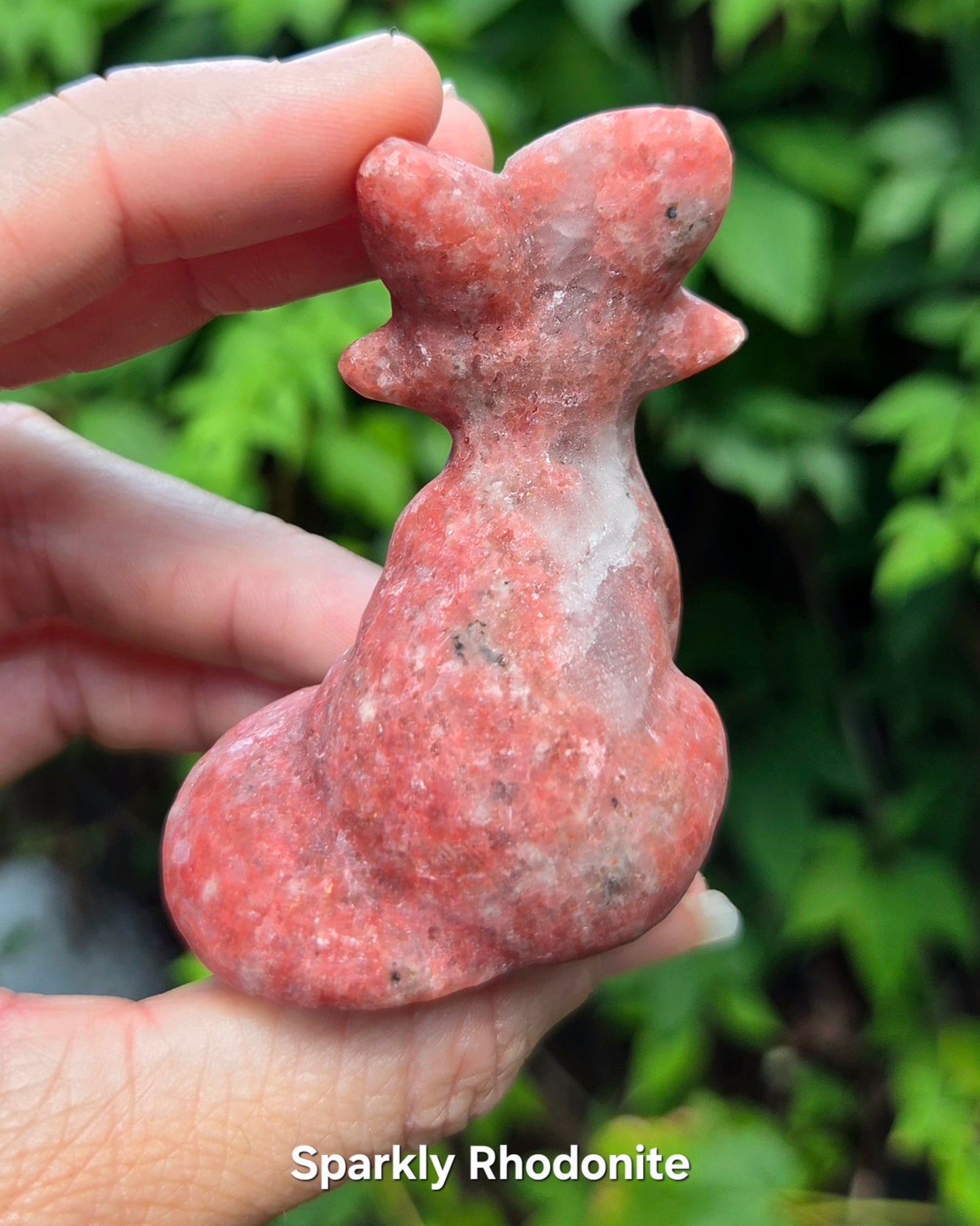 Foxes (Kiwi Jasper, Mookaite Jasper, or Rhodonite)
