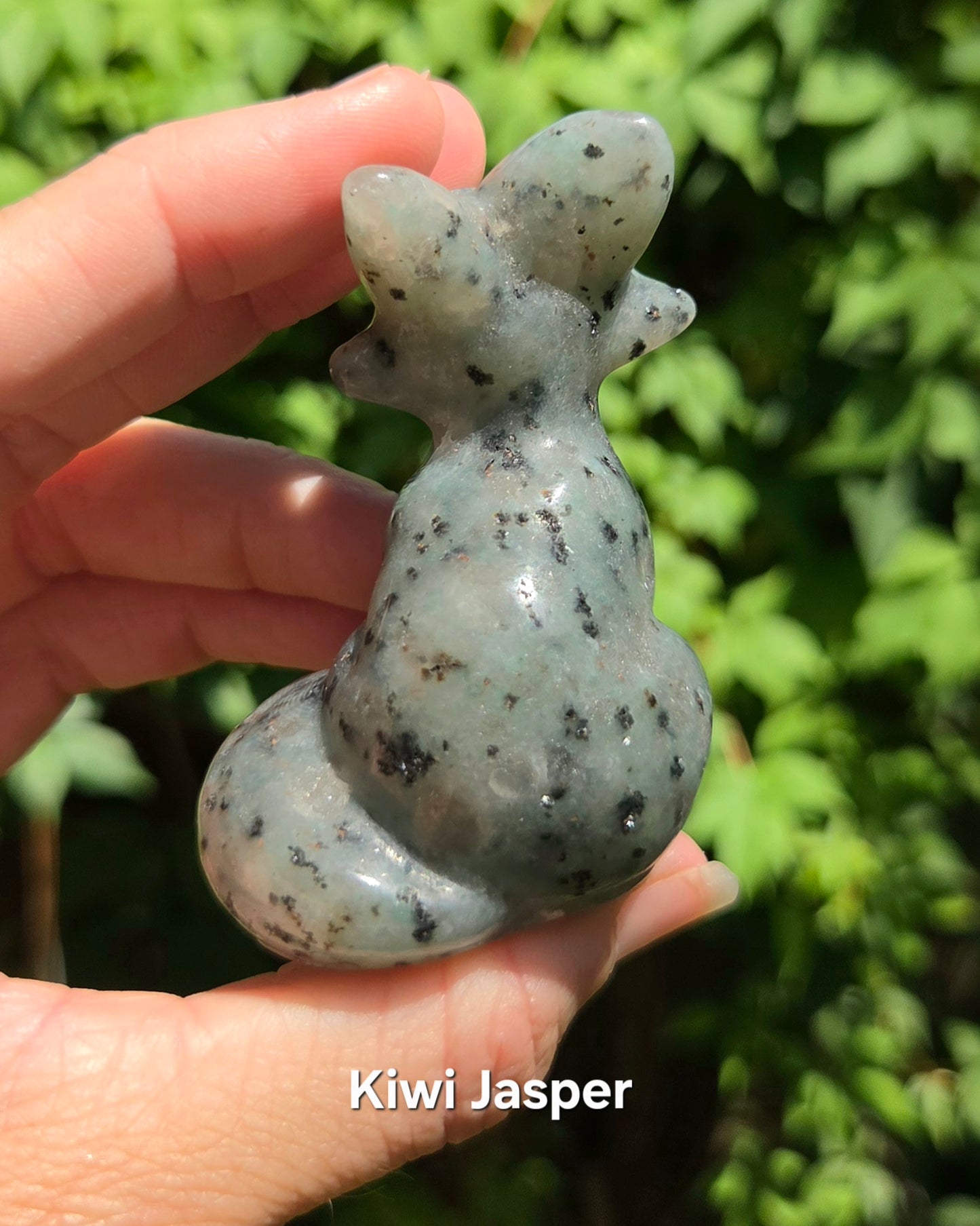 Foxes (Kiwi Jasper, Mookaite Jasper, or Rhodonite)