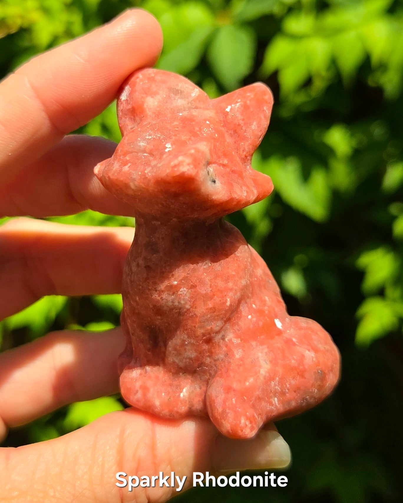 Foxes (Kiwi Jasper, Mookaite Jasper, or Rhodonite)