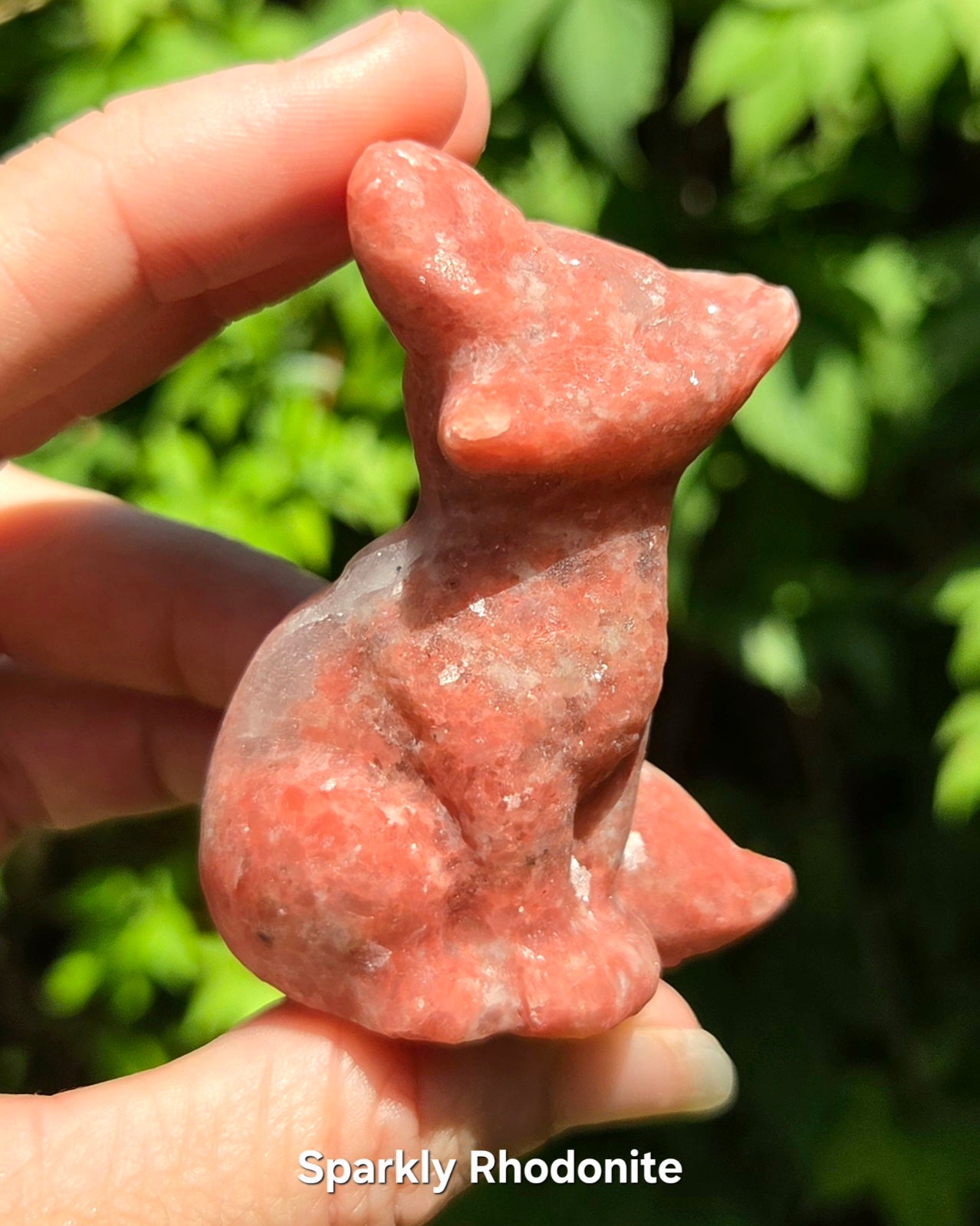 Foxes (Kiwi Jasper, Mookaite Jasper, or Rhodonite)