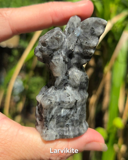 Gargoyle (Larvikite or Red Sesame Jasper)
