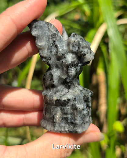 Gargoyle (Larvikite or Red Sesame Jasper)
