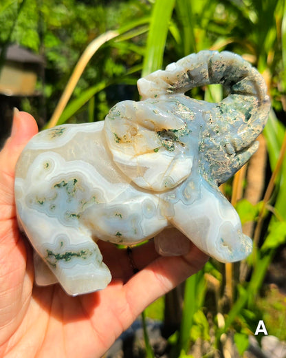 Large Moss Agate Elephants