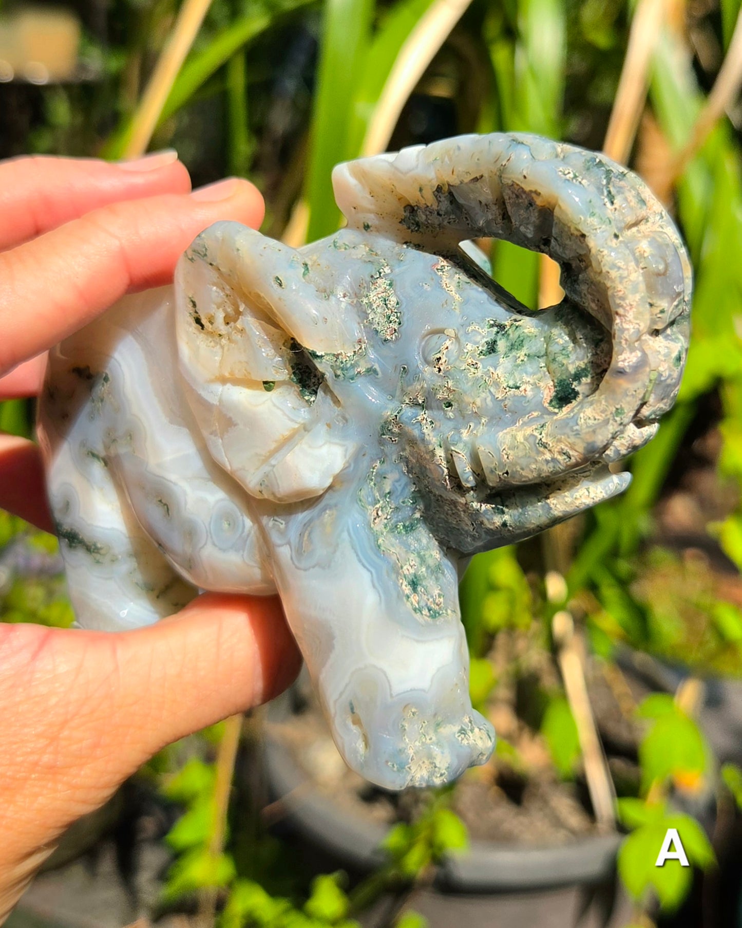 Large Moss Agate Elephants