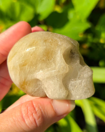 Smoky Citrine Skull
