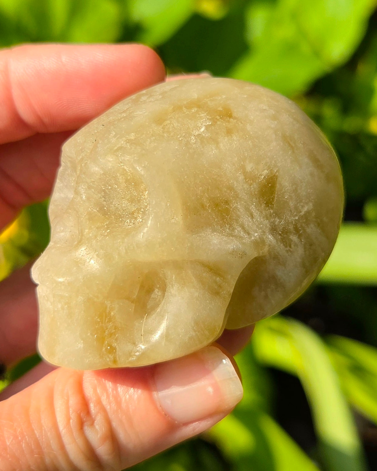 Smoky Citrine Skull