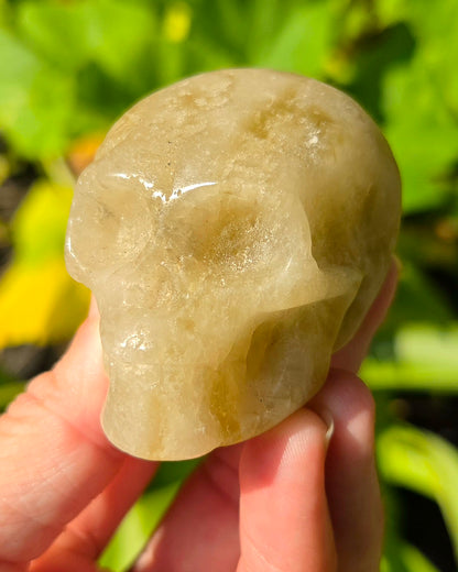 Smoky Citrine Skull