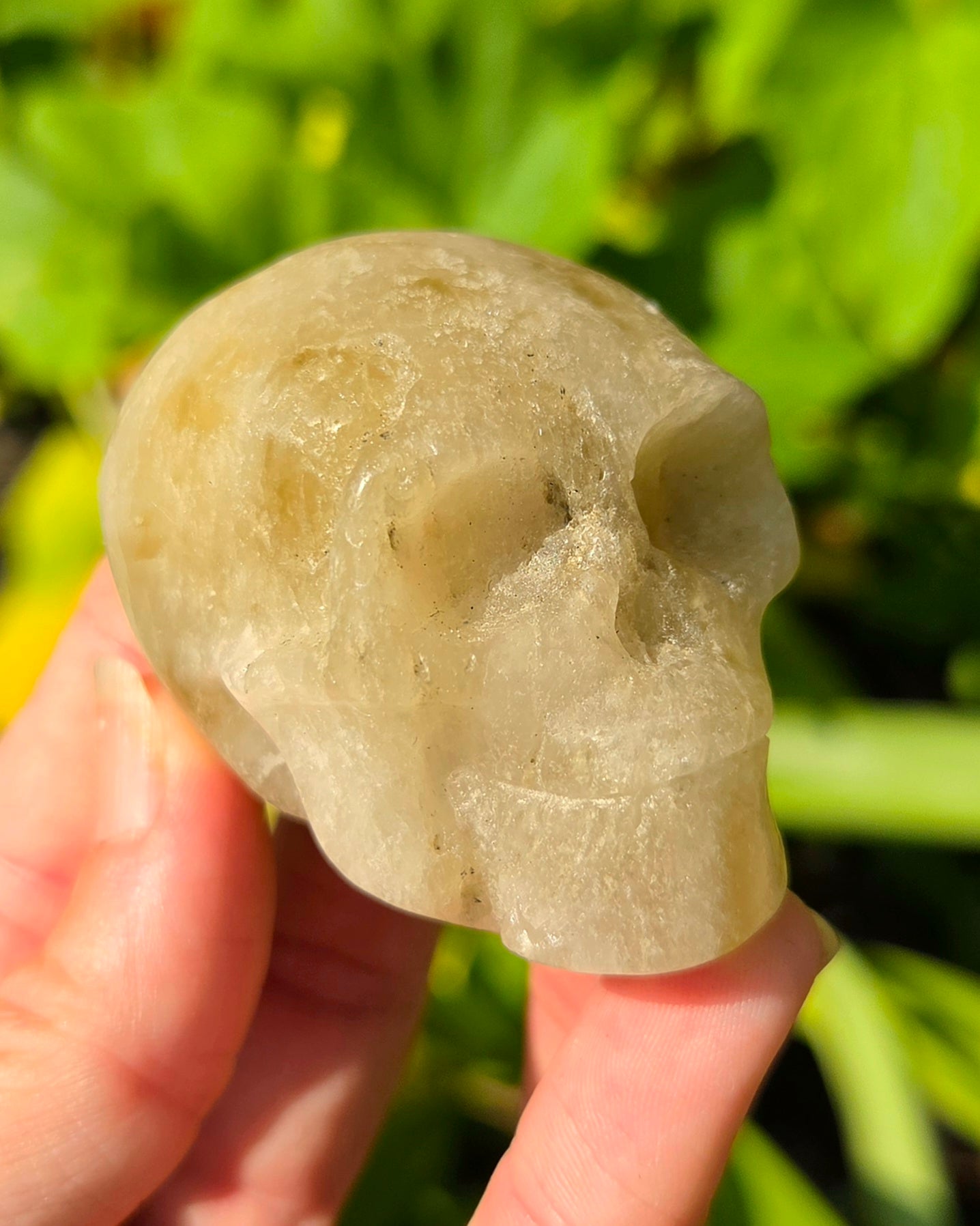 Smoky Citrine Skull