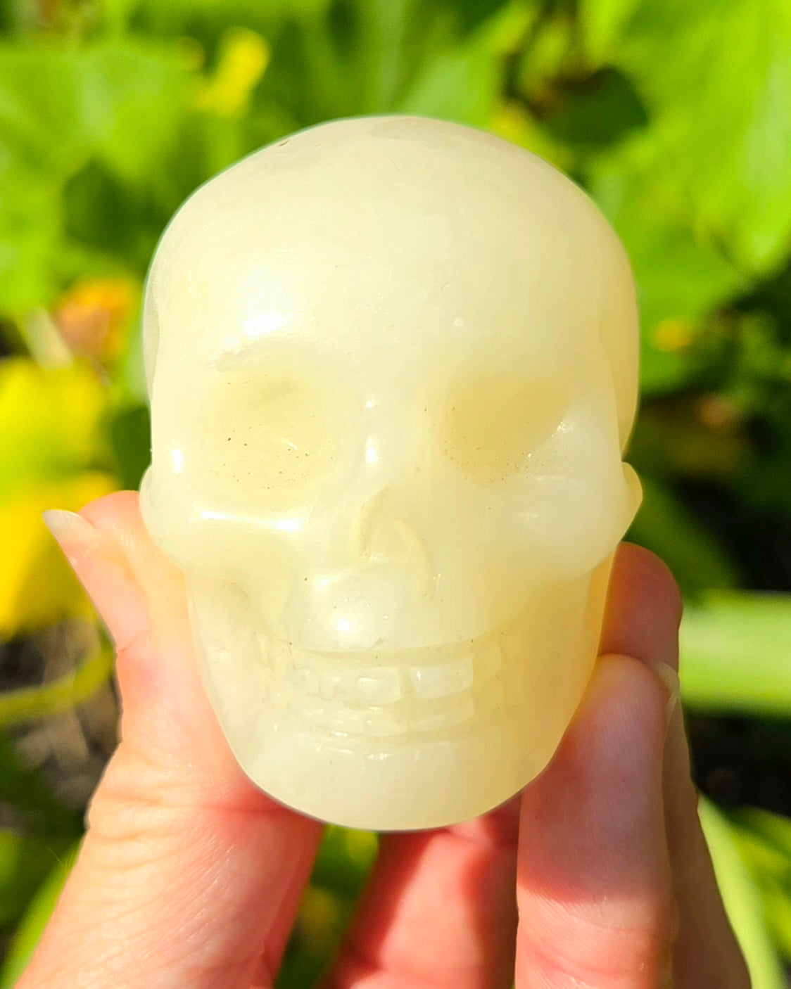 Green Banded Calcite Skull