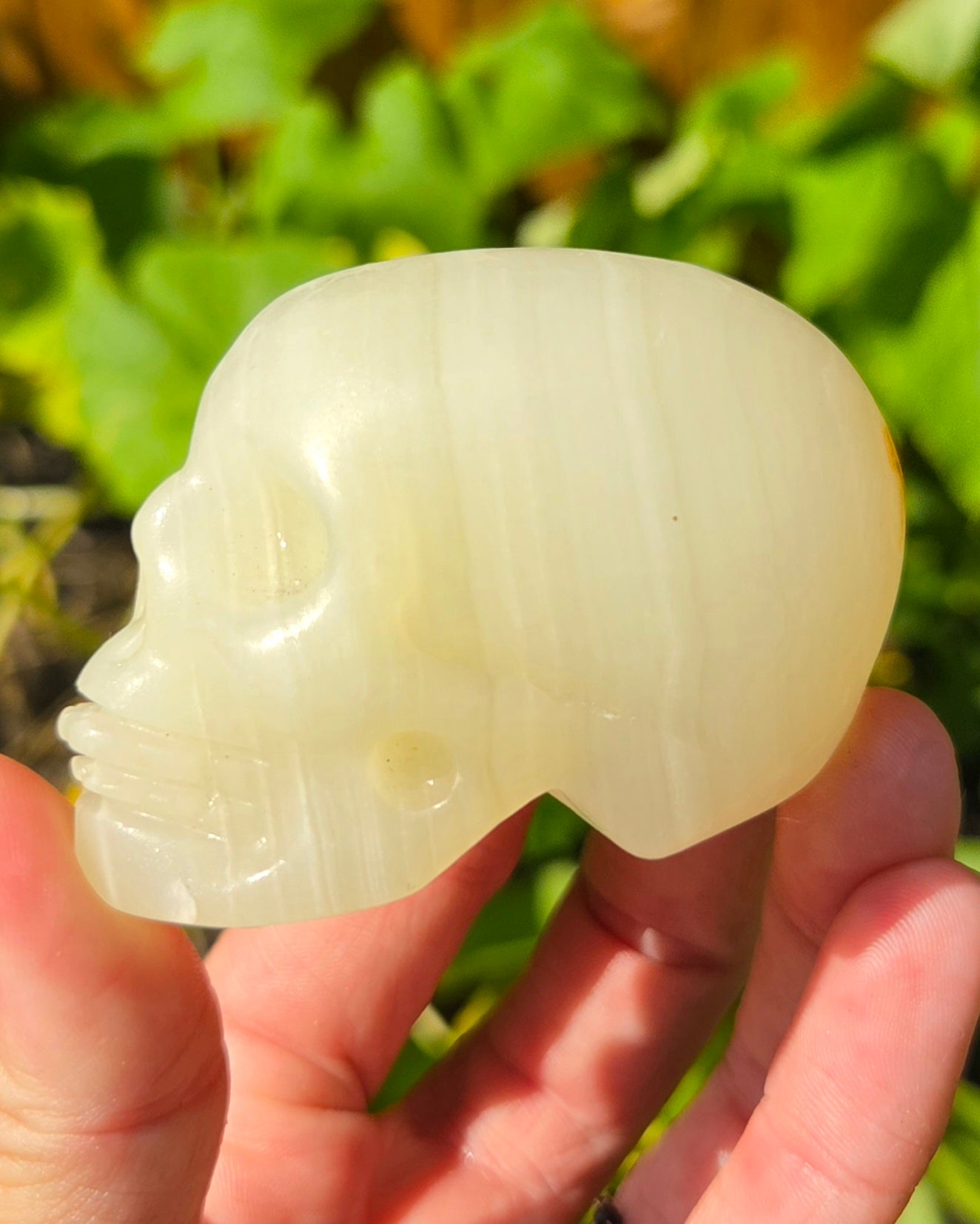 Green Banded Calcite Skull