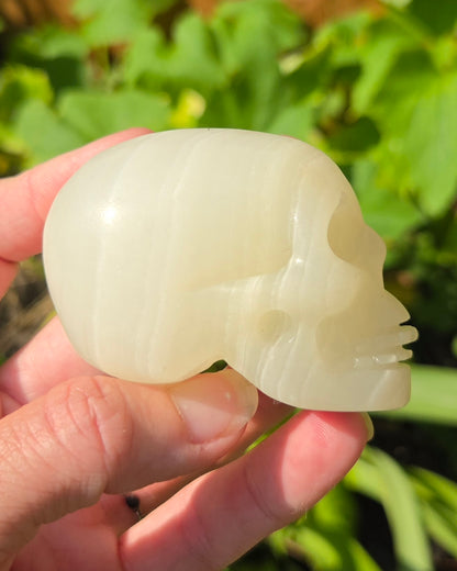 Green Banded Calcite Skull