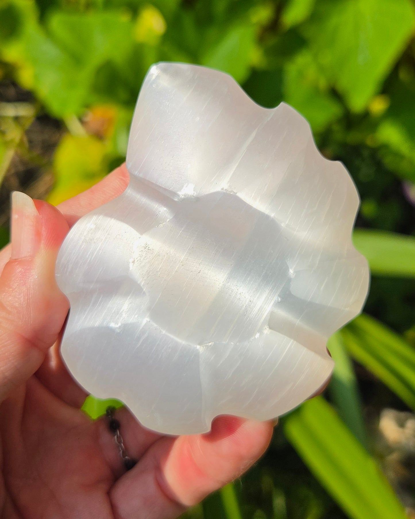 Satin Spar Selenite Ammonite Carving