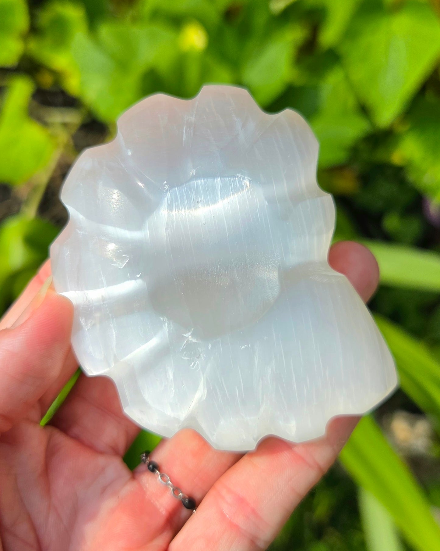 Satin Spar Selenite Ammonite Carving