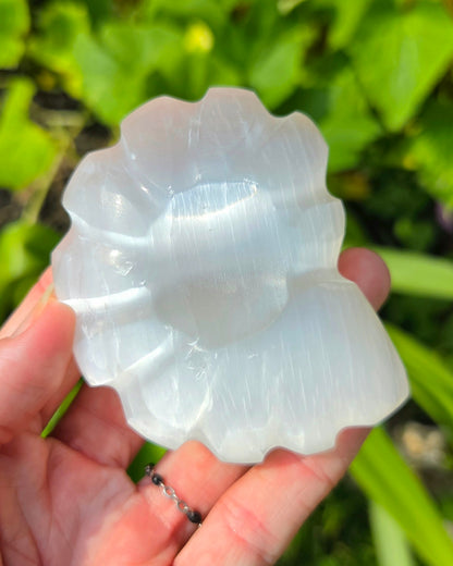 Satin Spar Selenite Ammonite Carving