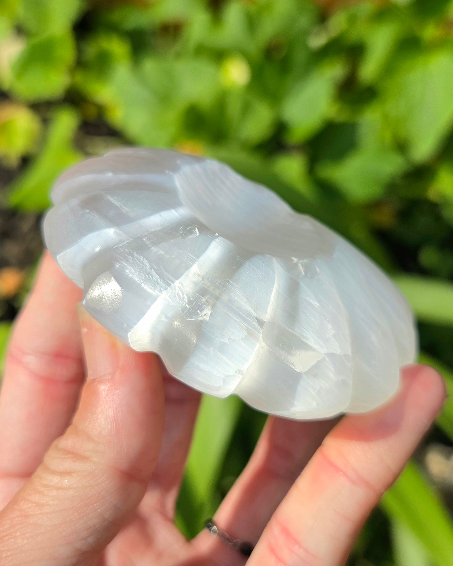 Satin Spar Selenite Ammonite Carving