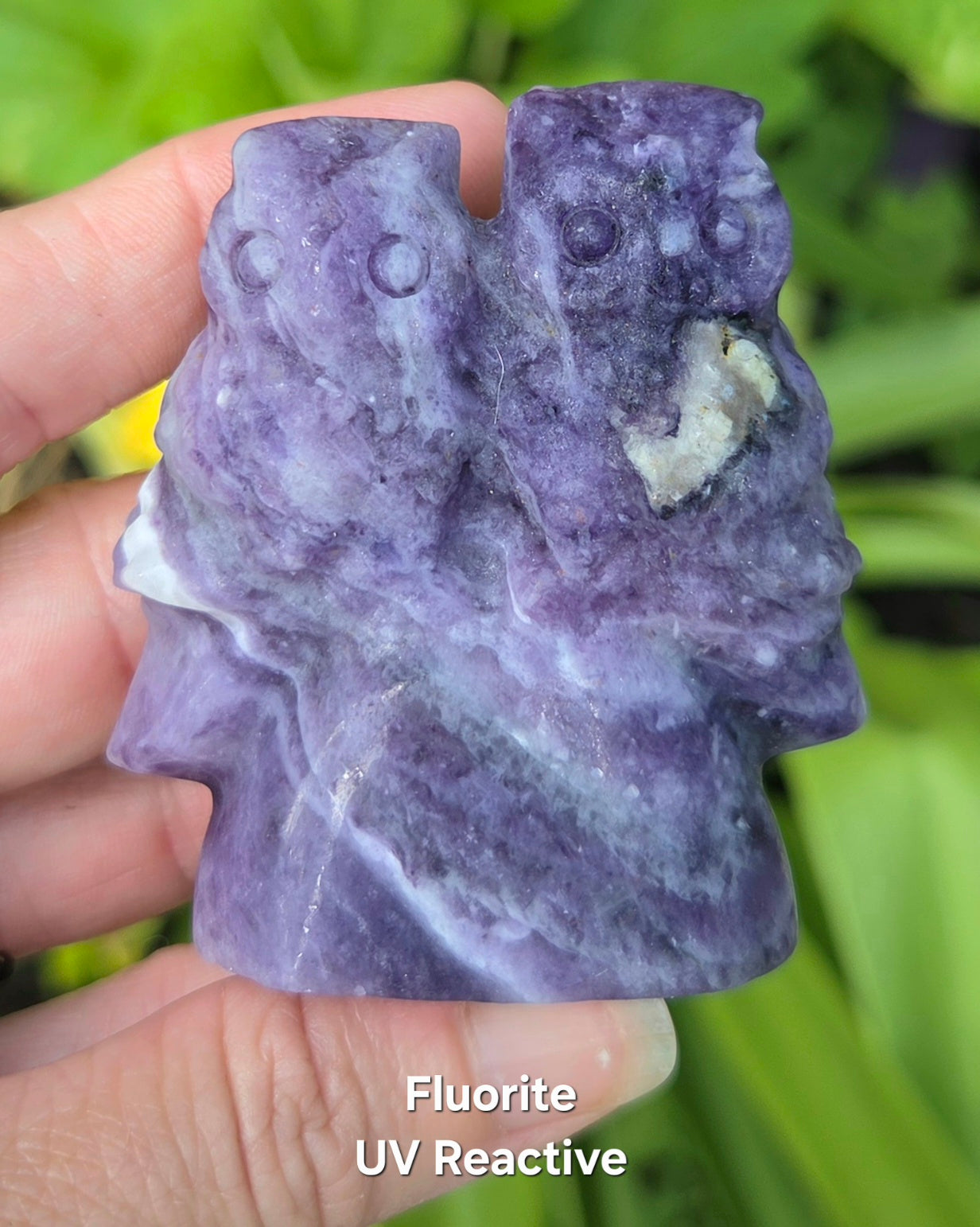 2 Owls on Rock (Fluorite, Sanskrit Jasper, or Sodalite)