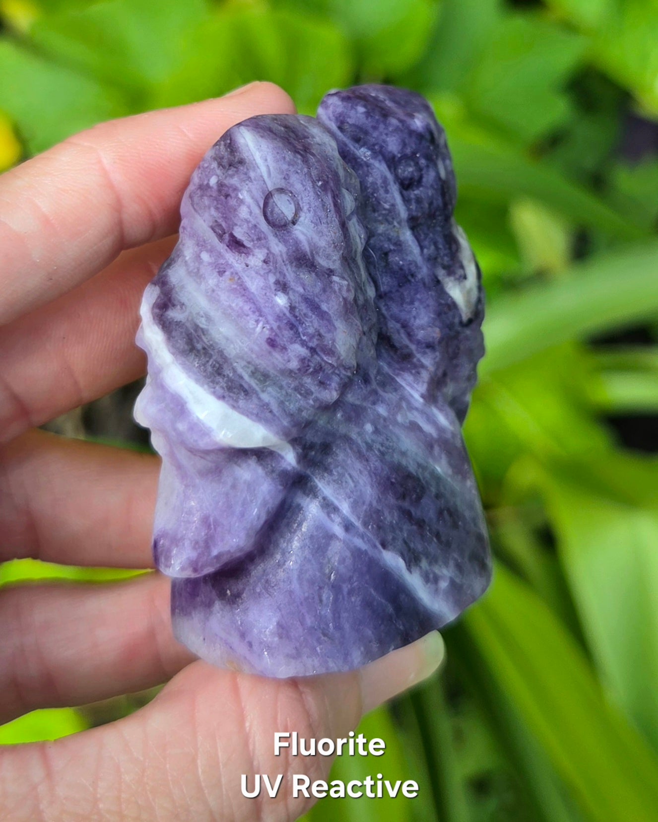 2 Owls on Rock (Fluorite, Sanskrit Jasper, or Sodalite)