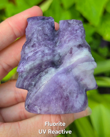 2 Owls on Rock (Fluorite, Sanskrit Jasper, or Sodalite)