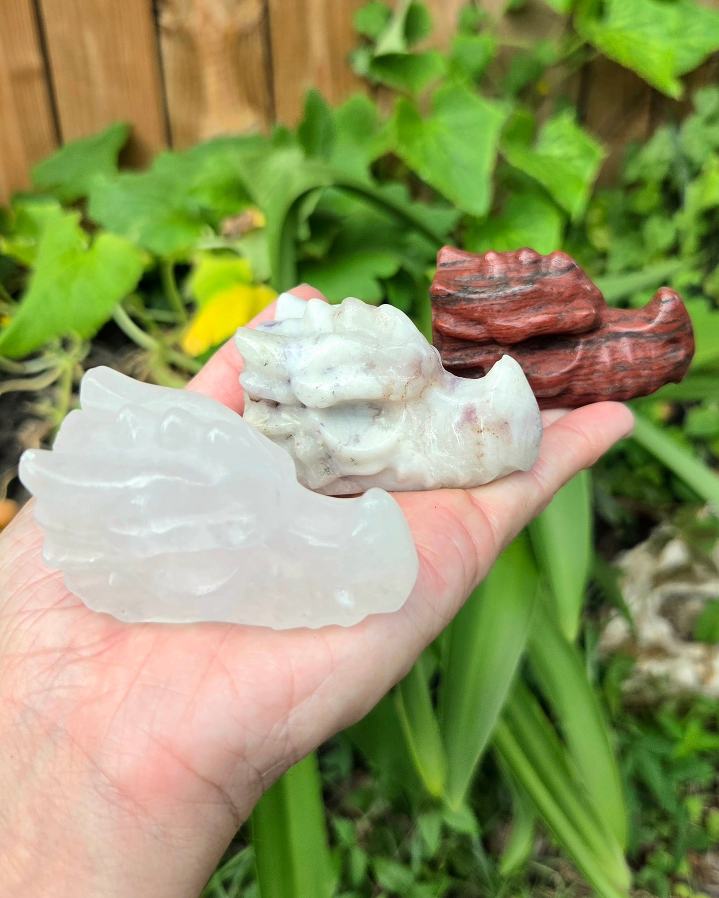 Dragon Skulls (Clear Quartz, Lepidolite in Quartz, or Red Sesame Jasper)