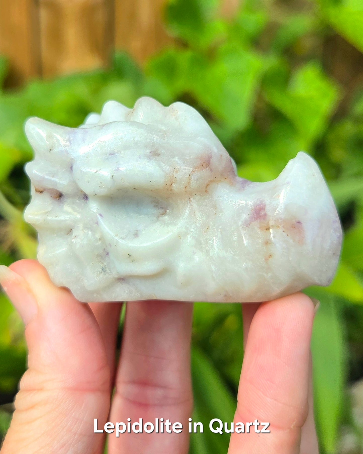 Dragon Skulls (Clear Quartz, Lepidolite in Quartz, or Red Sesame Jasper)