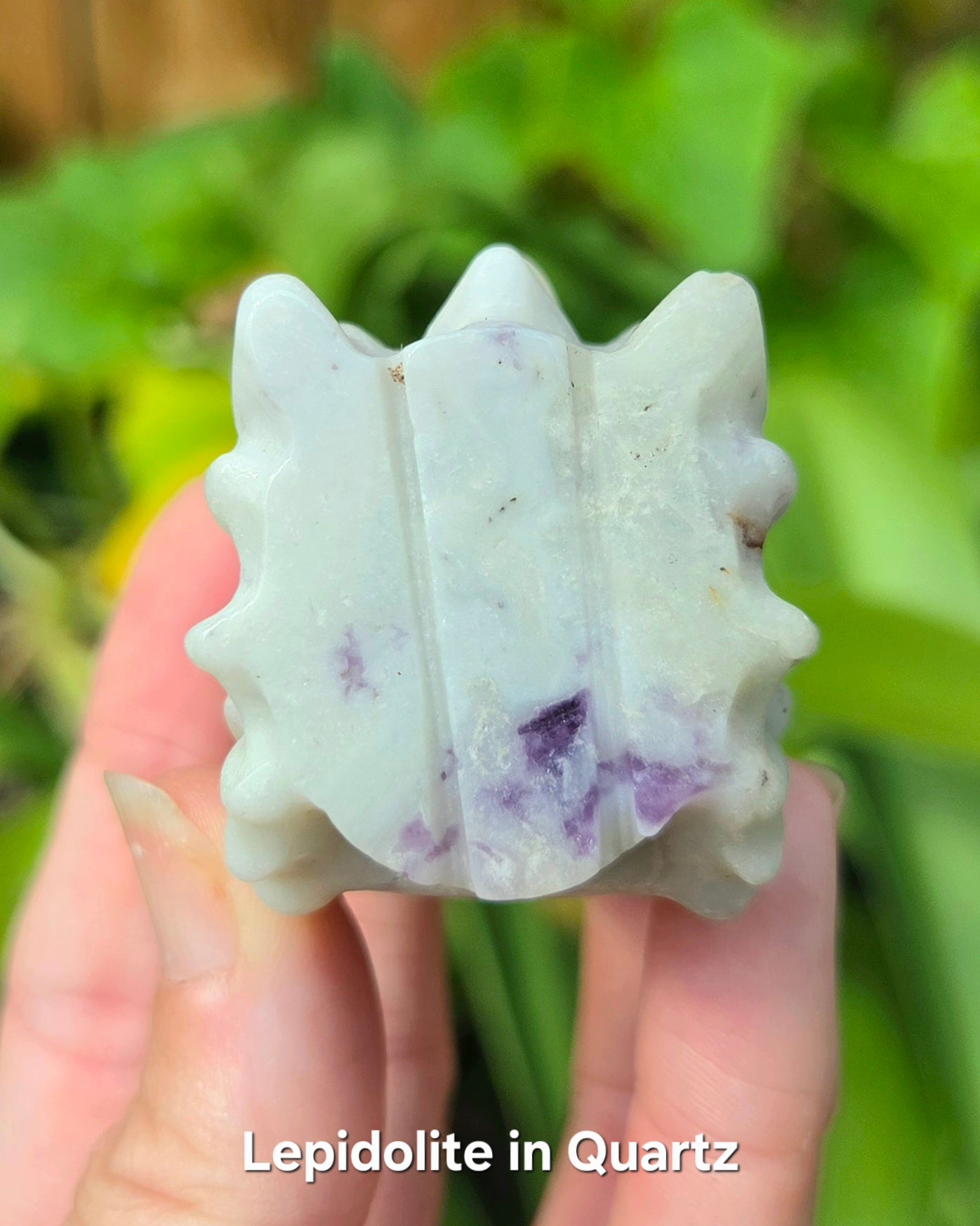 Dragon Skulls (Clear Quartz, Lepidolite in Quartz, or Red Sesame Jasper)