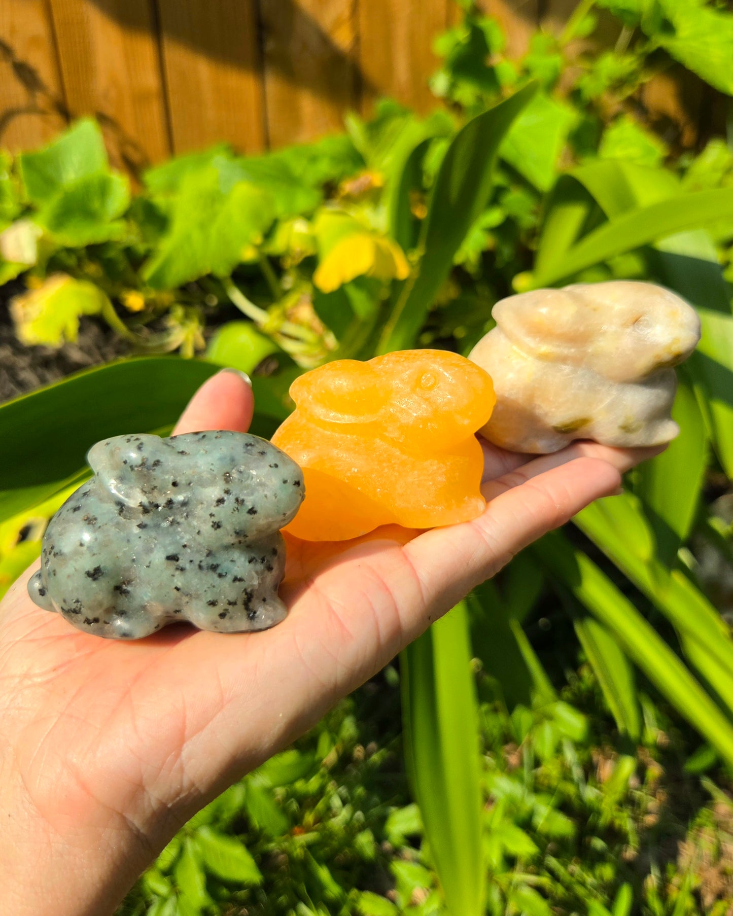 Bunny Rabbits (Kiwi Jasper, Orange Calcite, or Serpentine in Pink Aventurine)