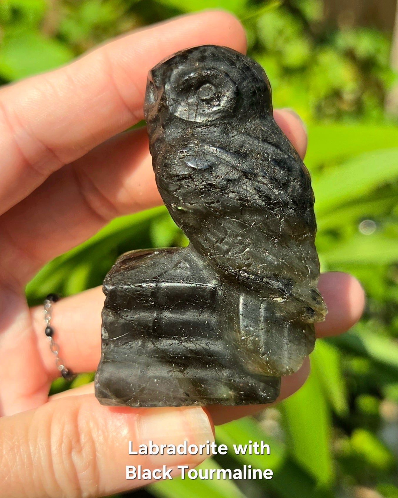 Owl on Books (Emberlite, Fluorite, Green Aventurine, Labradorite, or Rose Quartz)