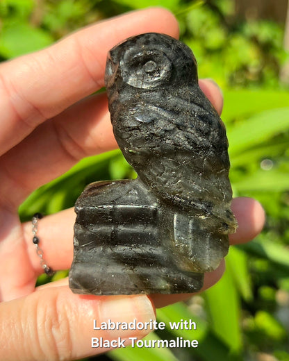 Owl on Books (Emberlite, Fluorite, Green Aventurine, Labradorite, or Rose Quartz)