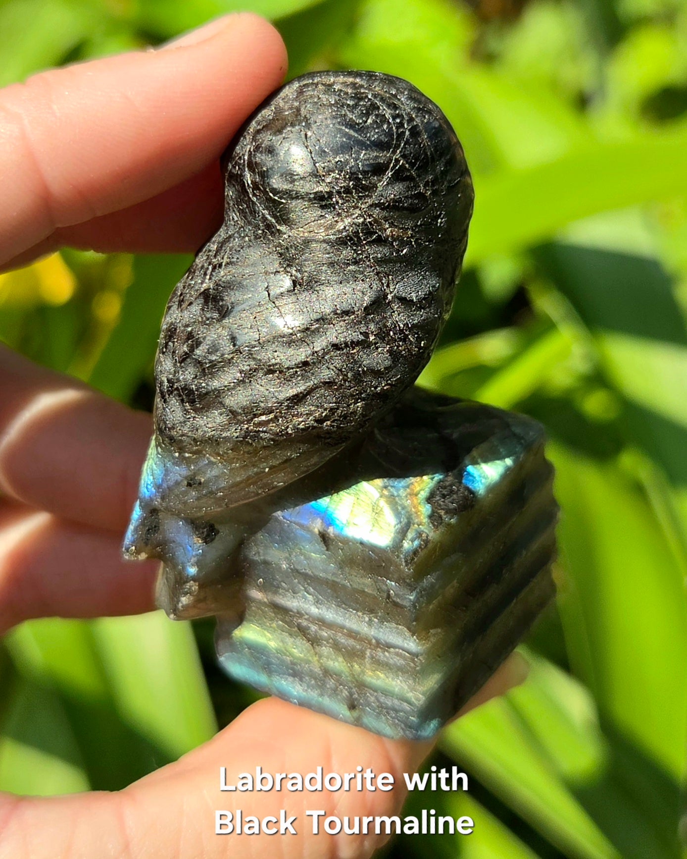 Owl on Books (Emberlite, Fluorite, Green Aventurine, Labradorite, or Rose Quartz)