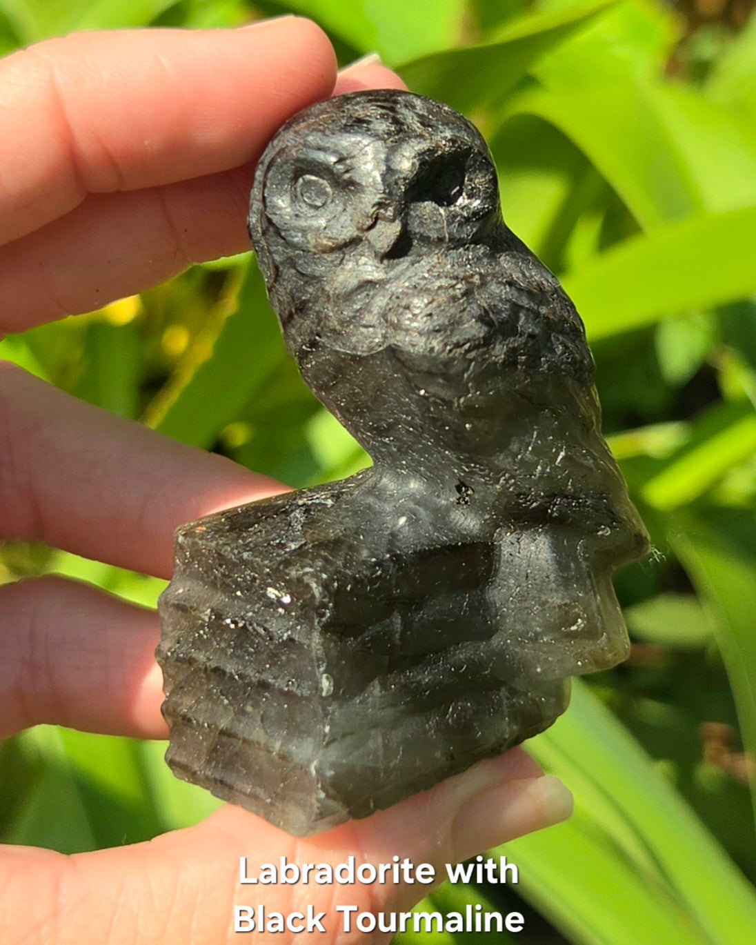 Owl on Books (Emberlite, Fluorite, Green Aventurine, Labradorite, or Rose Quartz)