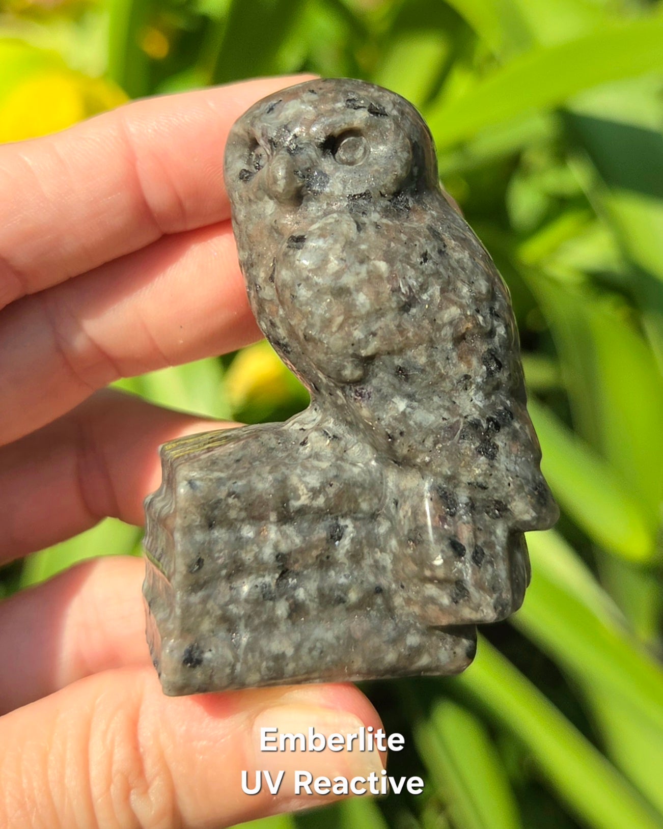 Owl on Books (Emberlite, Fluorite, Green Aventurine, Labradorite, or Rose Quartz)