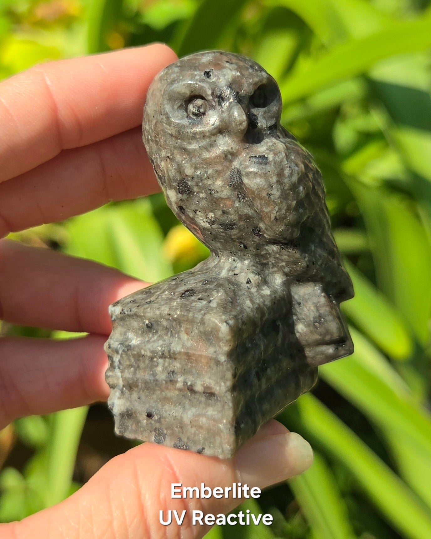 Owl on Books (Emberlite, Fluorite, Green Aventurine, Labradorite, or Rose Quartz)