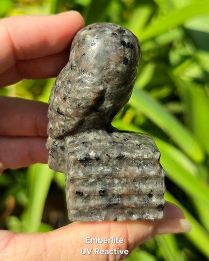Owl on Books (Emberlite, Fluorite, Green Aventurine, Labradorite, or Rose Quartz)