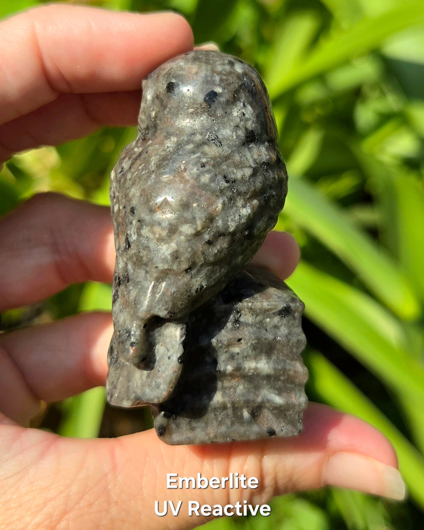 Owl on Books (Emberlite, Fluorite, Green Aventurine, Labradorite, or Rose Quartz)