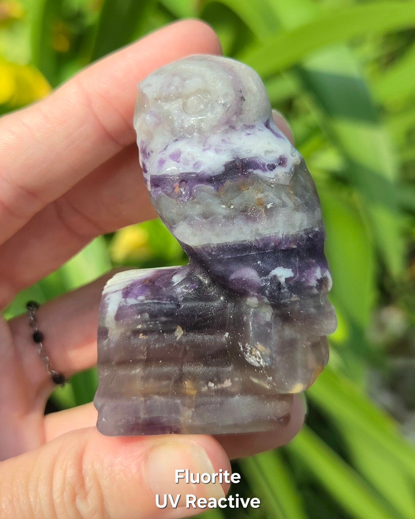 Owl on Books (Emberlite, Fluorite, Green Aventurine, Labradorite, or Rose Quartz)