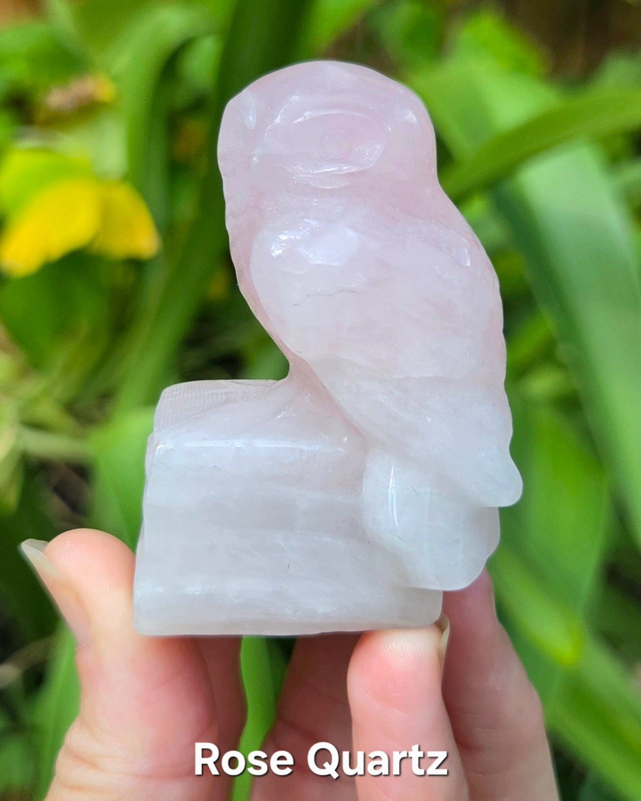 Owl on Books (Emberlite, Fluorite, Green Aventurine, Labradorite, or Rose Quartz)