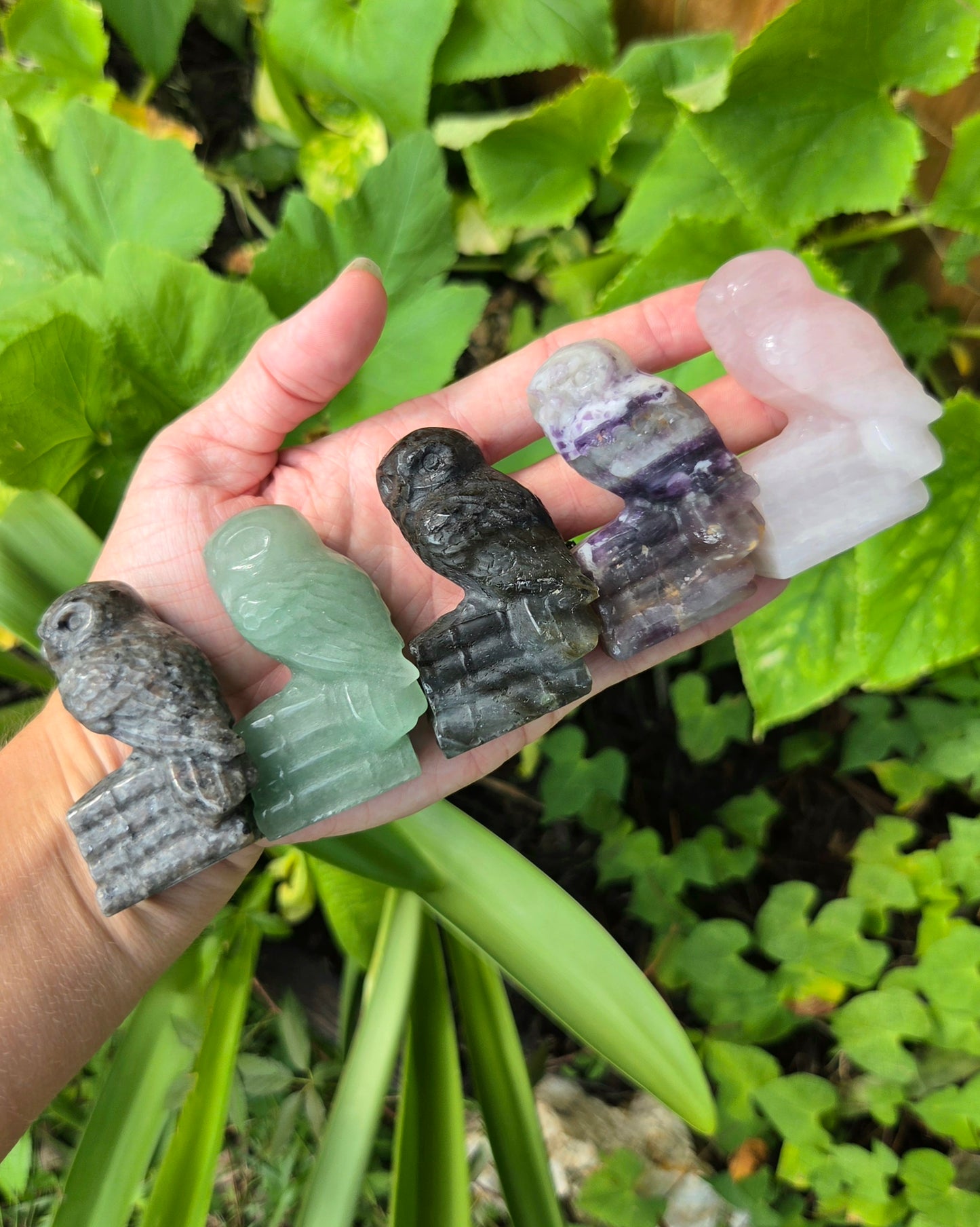 Owl on Books (Emberlite, Fluorite, Green Aventurine, Labradorite, or Rose Quartz)